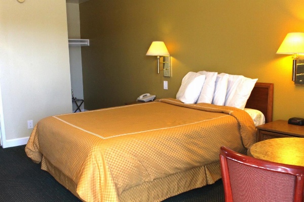 Echo Lodge image 7